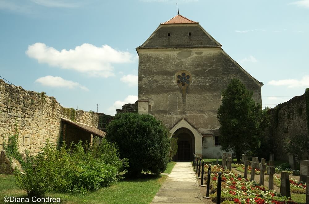 Carta Abbey Vacation in Romania