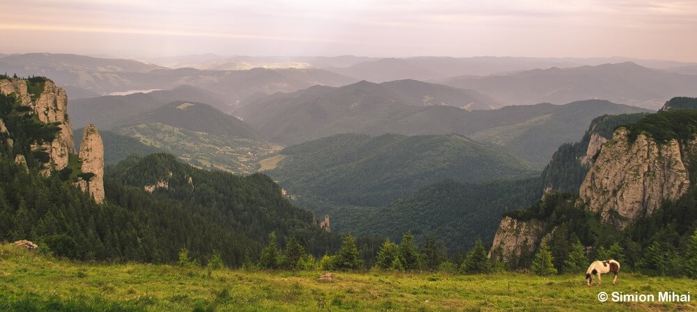 Vacation in Romania